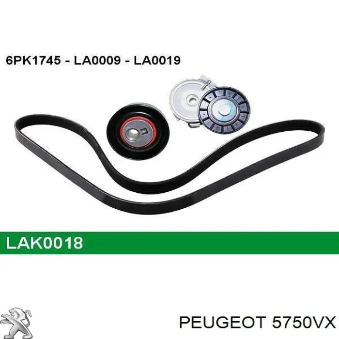 Correa de alternador 5750VX Peugeot/Citroen
