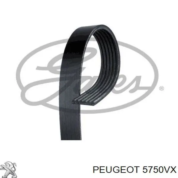 5750VX Peugeot/Citroen correa trapezoidal