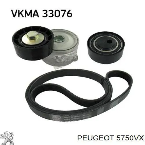 Correa de transmisión trapezoidal Peugeot/Citroen 5750VX precio, desde 23,76 EUR