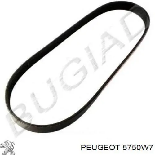 Correa de transmisión trapezoidal Peugeot/Citroen 5750W7 precio, desde 10,65 EUR