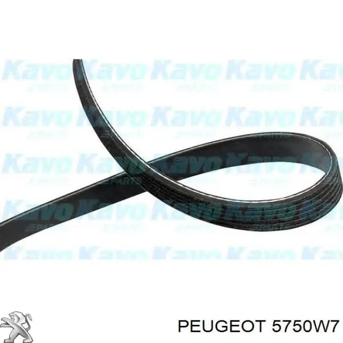 Comprar 5750W7 Peugeot/Citroen Correa trapezoidal