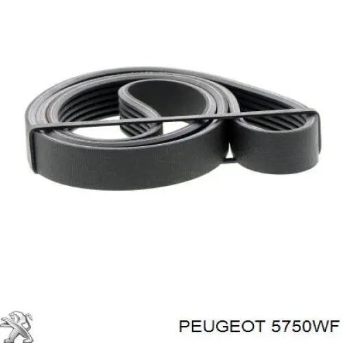 Comprar 5750WF Peugeot/Citroen Correa trapezoidal