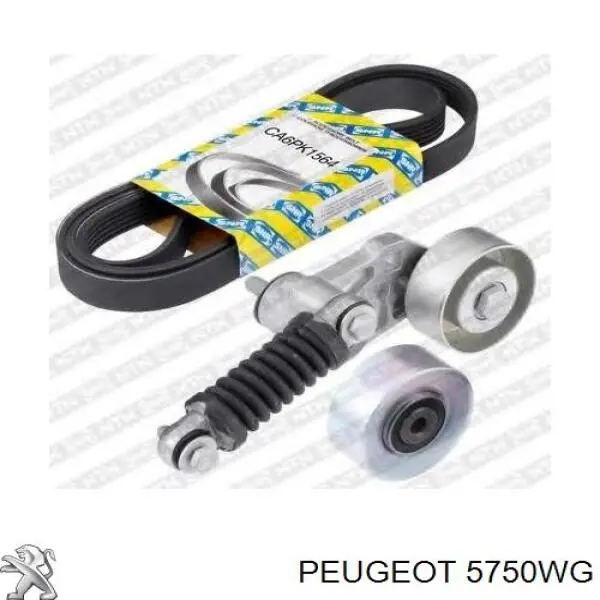 Comprar 5750WG Peugeot/Citroen Correa trapezoidal