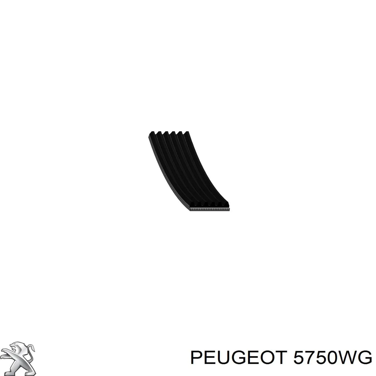 Correa de transmisión trapezoidal Peugeot/Citroen 5750WG precio, desde 8,93 EUR