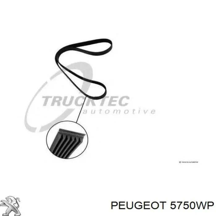 Correa accesorios Peugeot/Citroen 5750WP