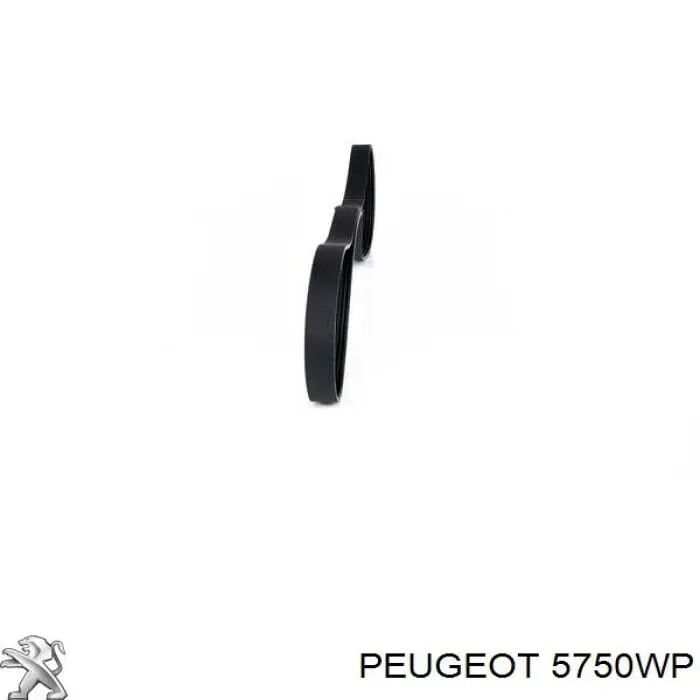 Comprar 5750WP Peugeot/Citroen Correa trapezoidal