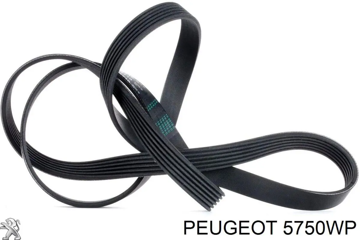 Correa de transmisión trapezoidal Peugeot/Citroen 5750WP precio, desde 15,25 EUR