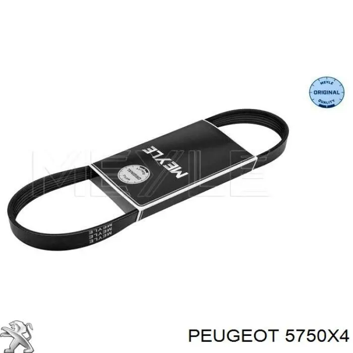 Correa de transmisión trapezoidal Peugeot/Citroen 5750X4 precio, desde 9,39 EUR