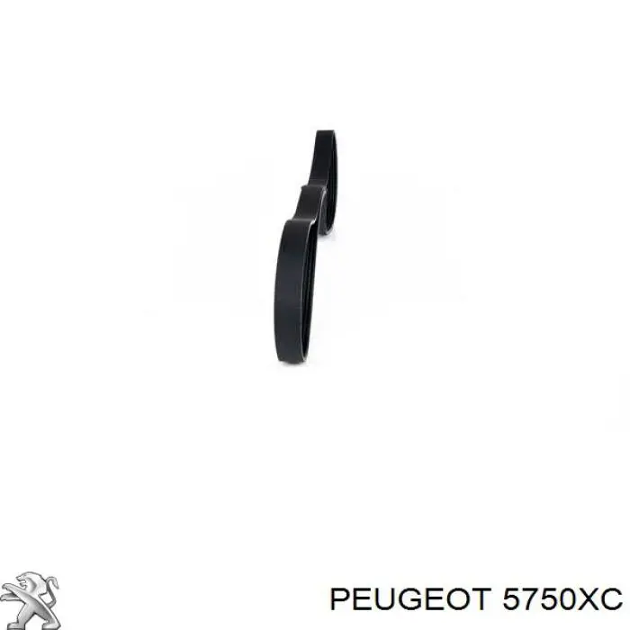 5750XC Peugeot/Citroen correa trapezoidal