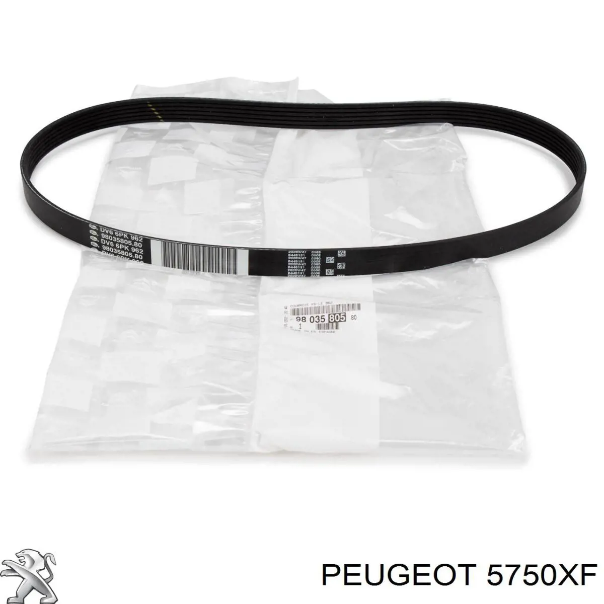 5750XF Peugeot/Citroen Correa poly v