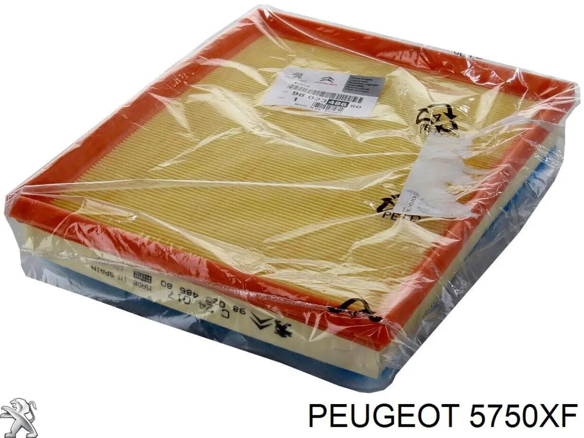 5750XF Peugeot/Citroen Correa poly v
