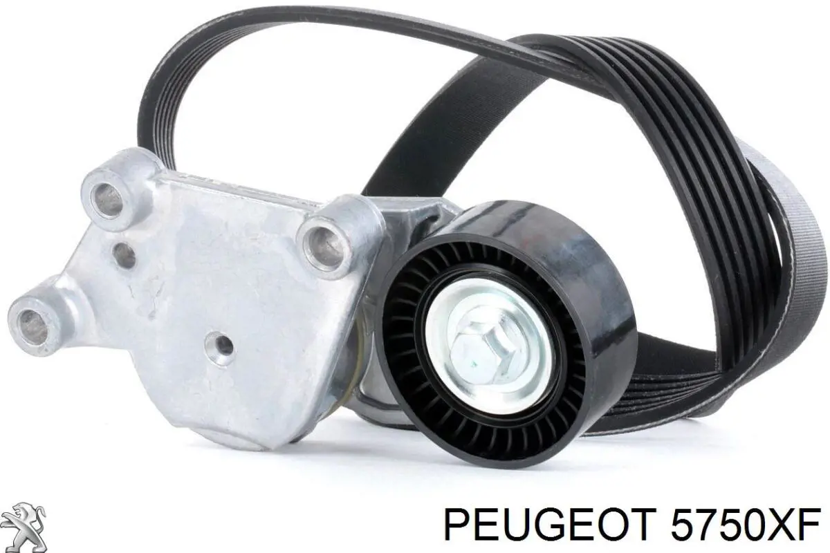 Comprar 5750XF Peugeot/Citroen Correa trapezoidal