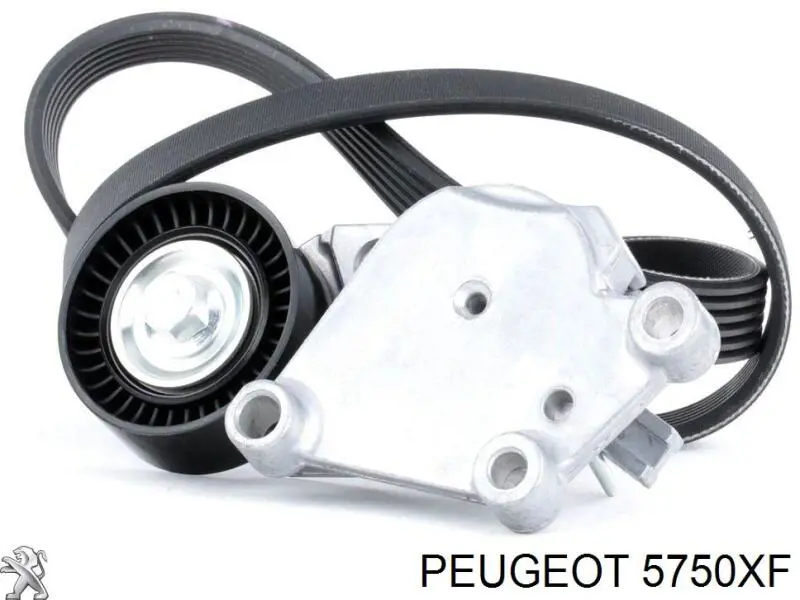 Correa de alternador 5750XF Peugeot/Citroen