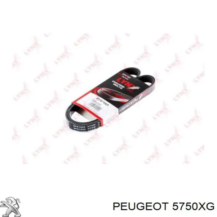 Correa de transmisión trapezoidal Peugeot/Citroen 5750XG precio, desde 12,01 EUR