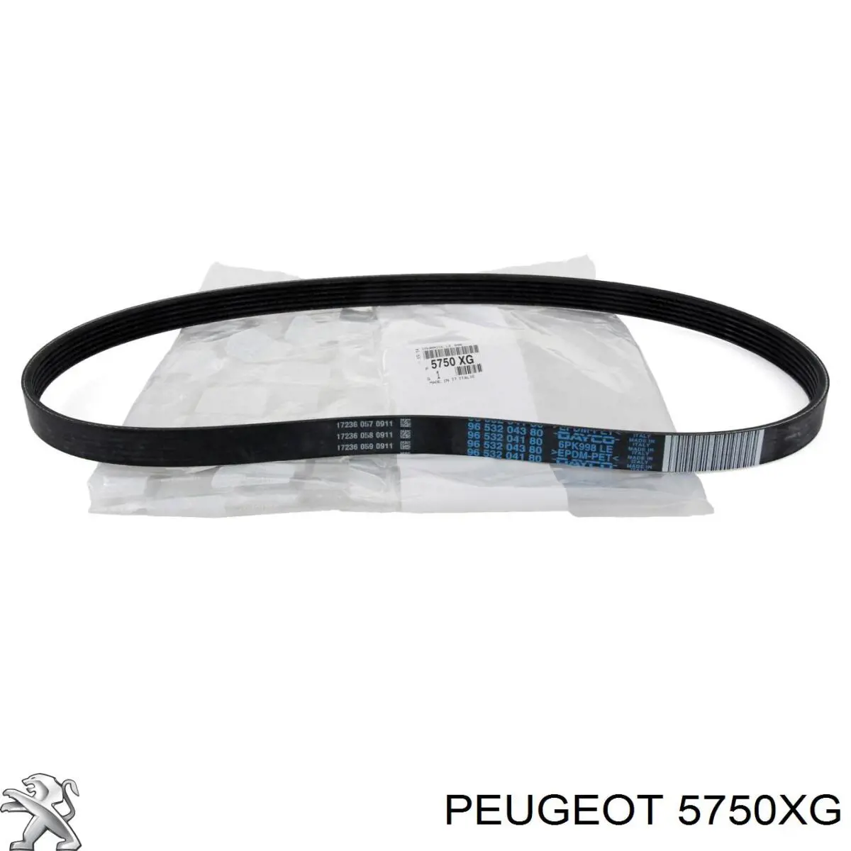 5750XG Peugeot/Citroen correa trapezoidal