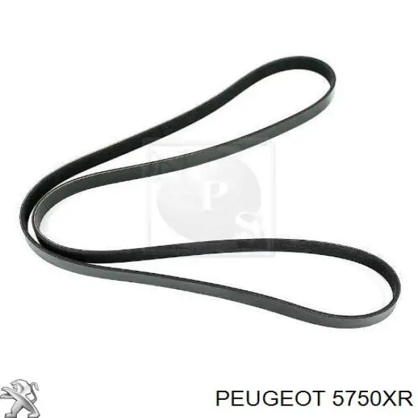 Correa accesorios Peugeot/Citroen 5750XR