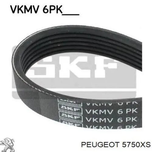 Correa de transmisión trapezoidal Peugeot/Citroen 5750XS precio, desde 17,54 EUR