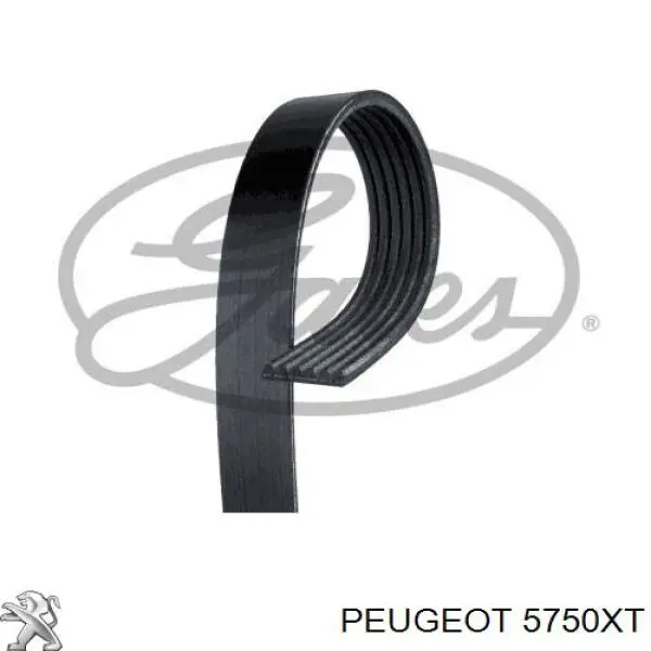 Comprar 5750XT Peugeot/Citroen Correa trapezoidal