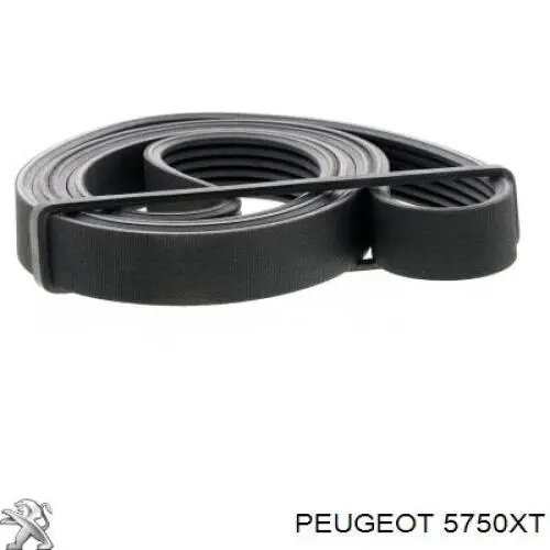 Correa de transmisión trapezoidal Peugeot/Citroen 5750XT precio, desde 13,74 EUR