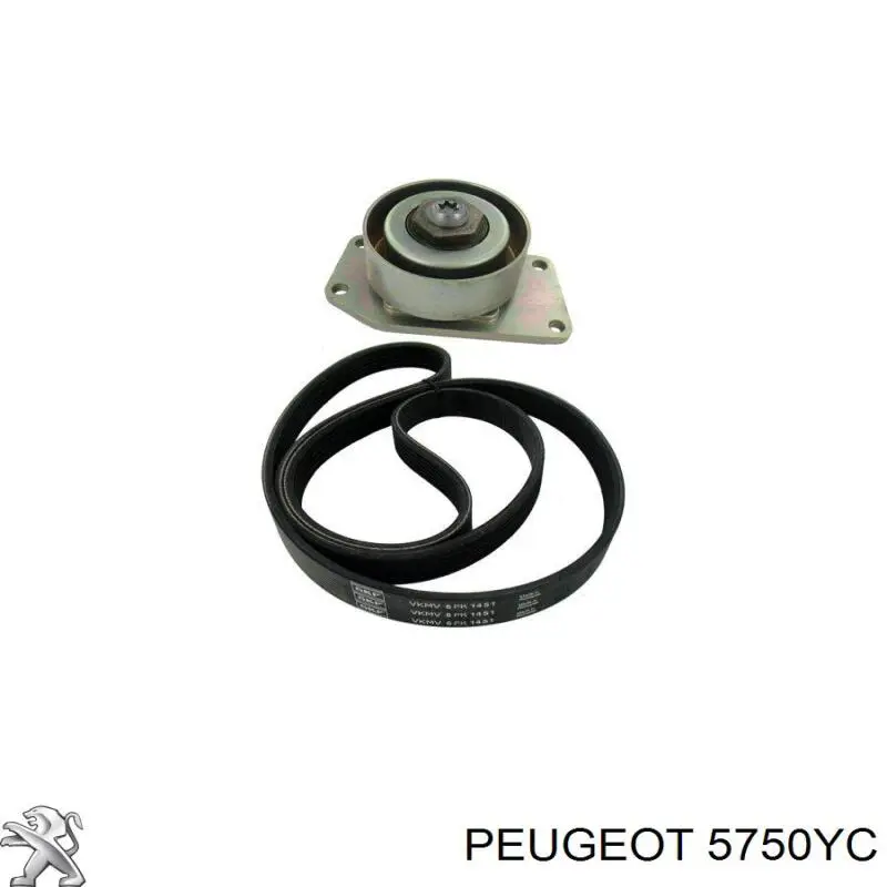 Comprar 5750YC Peugeot/Citroen Correa trapezoidal