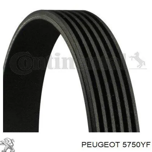 Comprar 5750YF Peugeot/Citroen Correa trapezoidal