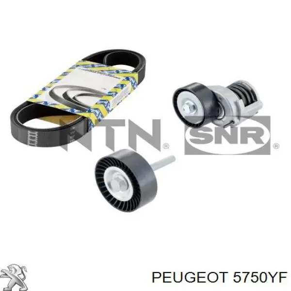 5750YF Peugeot/Citroen correa trapezoidal