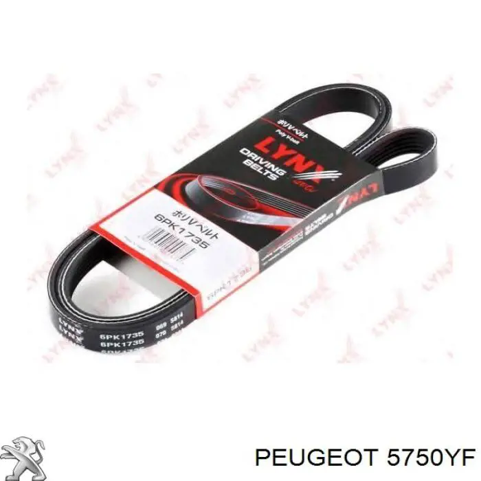 Correa de transmisión trapezoidal Peugeot/Citroen 5750YF precio, desde 23,76 EUR