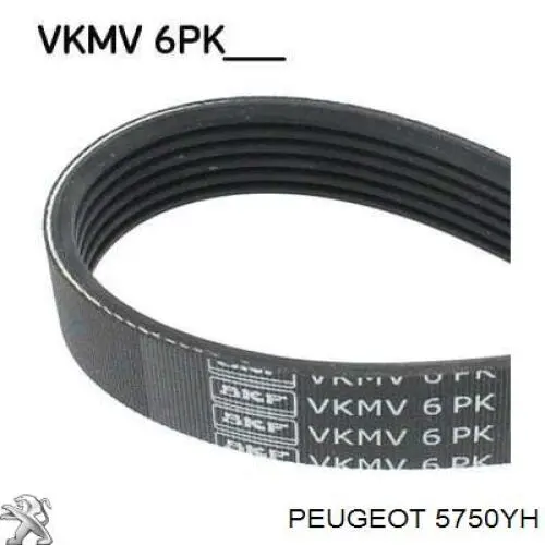 Correa de transmisión trapezoidal Peugeot/Citroen 5750YH precio, desde 10,06 EUR