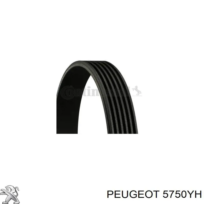 Correa de alternador 5750YH Peugeot/Citroen