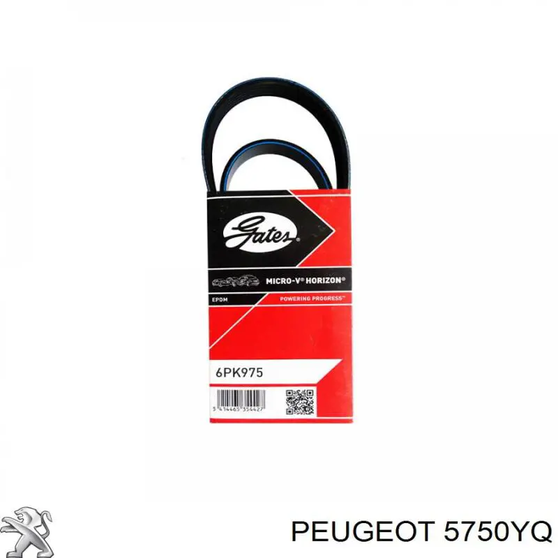 Correa de transmisión trapezoidal Peugeot/Citroen 5750YQ precio, desde 16,06 EUR