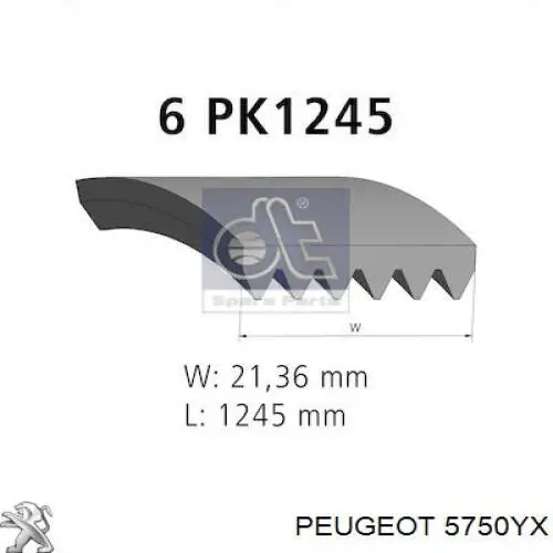 Correa de transmisión trapezoidal Peugeot/Citroen 5750YX precio, desde 13,81 EUR