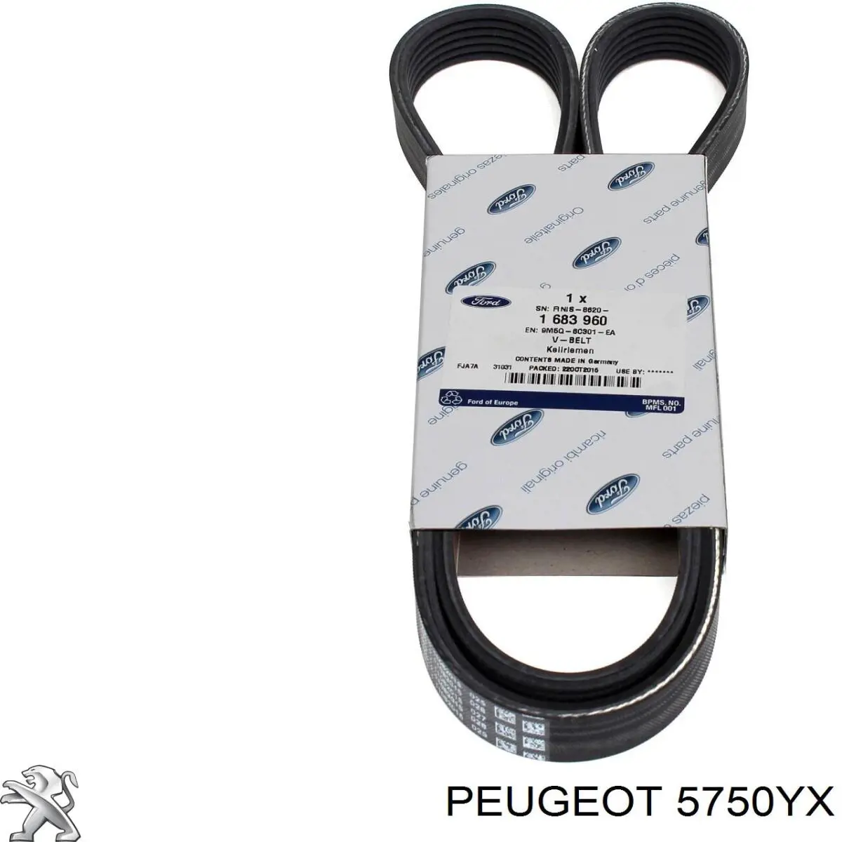 Correa de alternador 5750YX Peugeot/Citroen