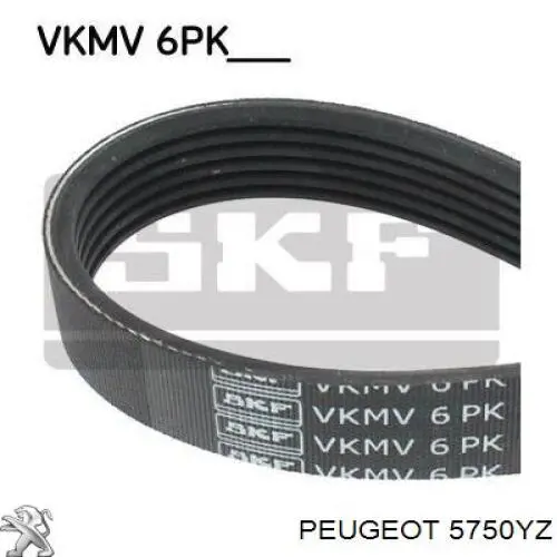 Correa de transmisión trapezoidal Peugeot/Citroen 5750YZ precio, desde 15,85 EUR