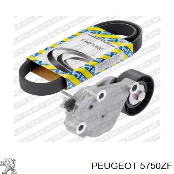 Correa de transmisión trapezoidal Peugeot/Citroen 5750ZF precio, desde 18,43 EUR