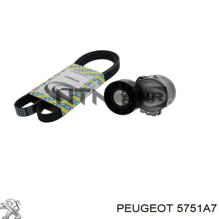 5751A7 Peugeot/Citroen tensor de correa, correa poli v