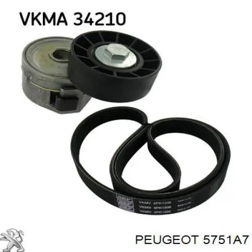 5751A7 Peugeot/Citroen Tensor de correa de alternador