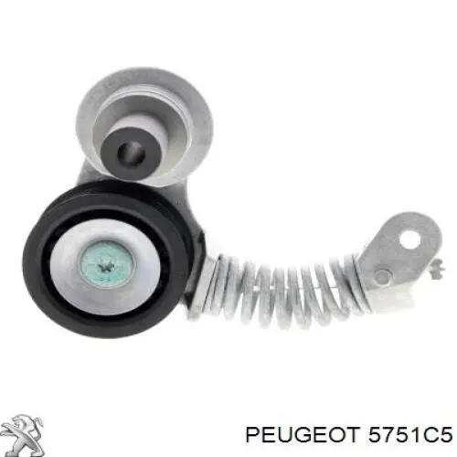 5751C5 Peugeot/Citroen tensor de correa, correa poli v