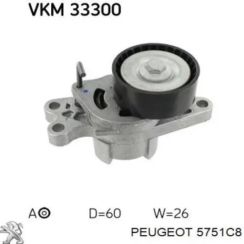 5751C8 Peugeot/Citroen tensor de correa, correa poli v