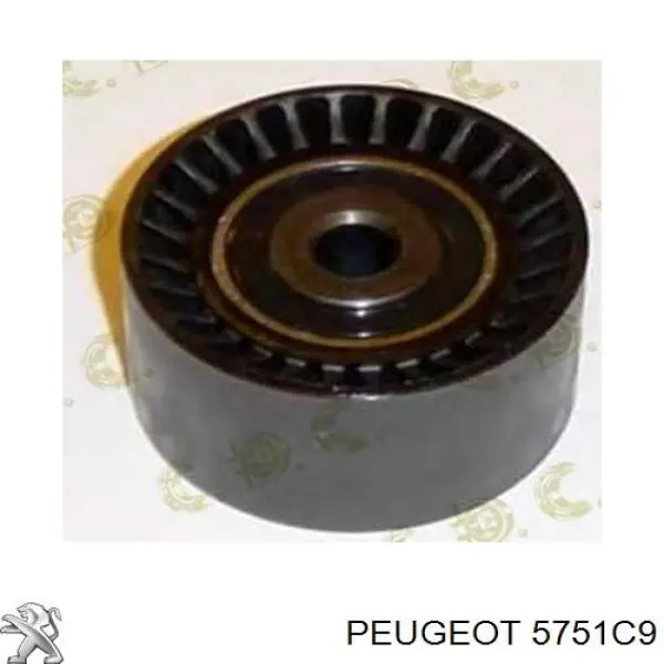 5751C9 Peugeot/Citroen Polea guía correa poli V