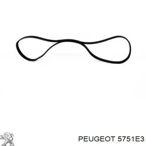 Rodillo tensor correa poli V Peugeot/Citroen 1611422780 precio, desde 29,33 EUR