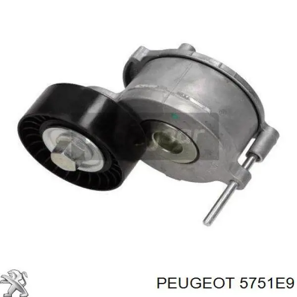 5751 E9 Peugeot/Citroen tensor de correa, correa poli v