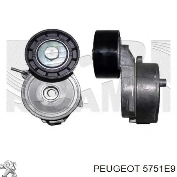 Tensor de la correa trapecial Peugeot/Citroen 5751E9 precio, desde 38,71 EUR