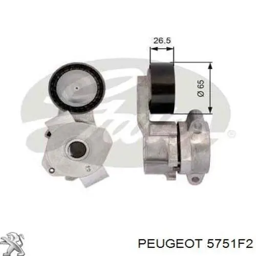 Tensor de correa poli V 5751F2 Peugeot/Citroen
