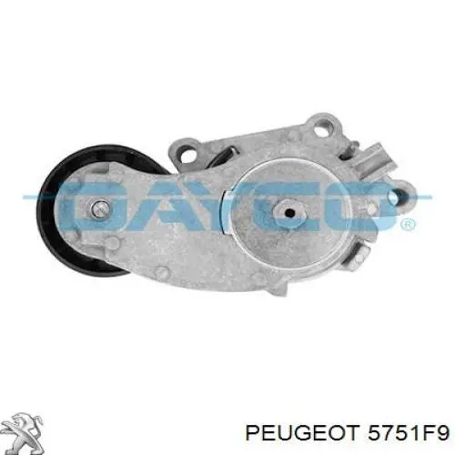 5751F9 Peugeot/Citroen tensor de correa poli v