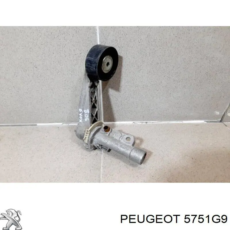 Tensor de correa poli V 5751G9 Peugeot/Citroen