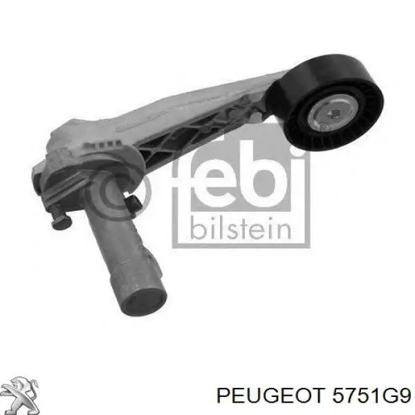 5751G9 Peugeot/Citroen tensor de correa, correa poli v