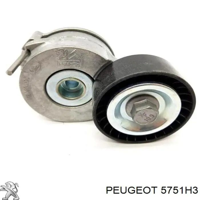 5751H3 Peugeot/Citroen tensor de correa, correa poli v