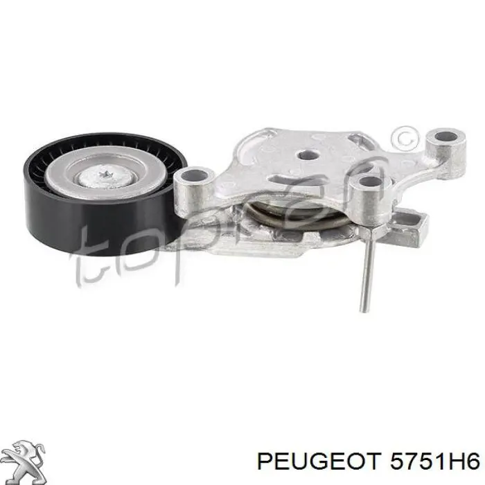 Tensor de correa poli V 5751H6 Peugeot/Citroen