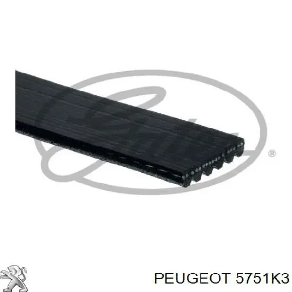 5751K3 Peugeot/Citroen correa trapezoidal