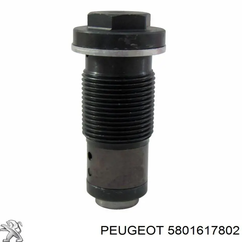 Comprar 70107790 Swag Tensor de cadena de distribución